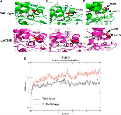 Case Report: Infantile Cerebellar-Retinal Degeneration With Compound Heterozygous Variants in ACO2 Gene—Long-Term Follow-Up of a Sibling